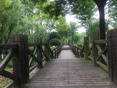 -上海鲜花港