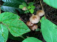 -碓臼峪自然风景区