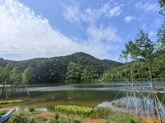 -广州市石门国家森林公园