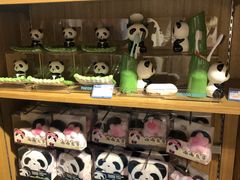 -熊猫屋(宽窄巷子景区店)