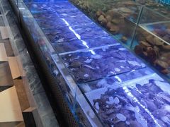 -海韵之星邮轮水会(明发商业广场店)