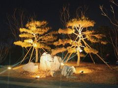 -莲花池公园