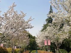 -泰州凤城河风景区-泰山公园