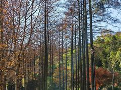 -莫干山风景区