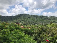 -海南槟榔谷黎苗文化旅游区