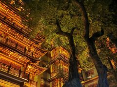 -大佛古寺
