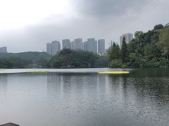 -重庆彩云湖湿地公园