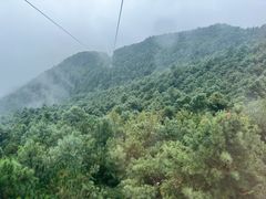 -苍山感通索道