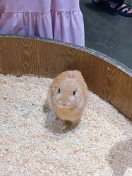 -Zoolung Zoolung动物主题公园(海信广场店)