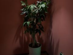 -泰融玺·泰式按摩SPA(包河万达店)