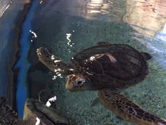 -福州罗源湾海洋世界旅游区