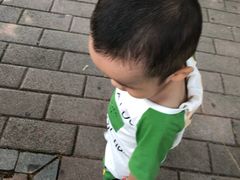 -张记旺角食街(动物园店)