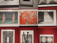 -江苏省美术馆(长江路新馆)