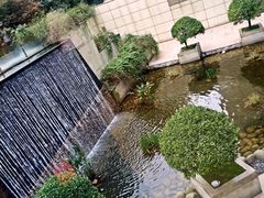 -上海外滩茂悦大酒店