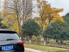 -南昌之星摩天轮