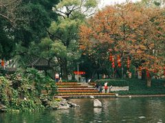 -荔湾湖公园