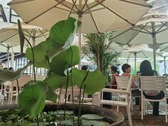 -813芭依珊 BAESAn(皇冠十畝地店)