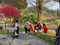 -云溪植物园