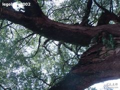 -新安江山水画廊风景区
