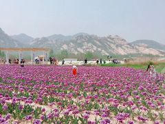 -嵖岈山风景区