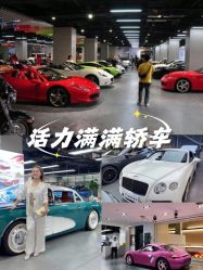 -M8全球名车广场