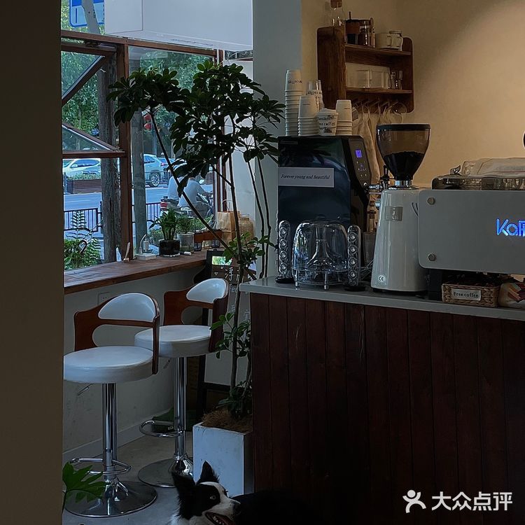 郑州宝藏沿街ins咖啡店☕️幸福感满满‼️