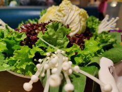 -青瓷火锅料理(西单大悦城店)