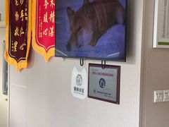 -瑞鹏宠物医院(大运分院)