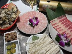 -禄婶鸡煲·打边炉