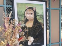 -喵屿·大理花园猫咖