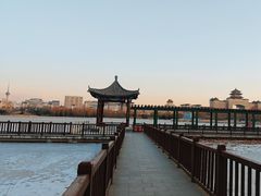 -莲花池公园