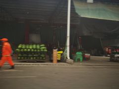 -双福水果批发市场