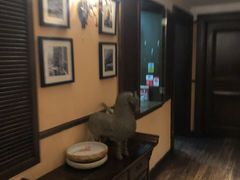-芳满庭·江浙小馆(1912店)