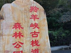 -羚羊峡古栈道森林公园