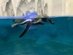 -太平洋海底世界博览馆·展览厅