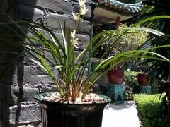 android_upload_pic-东莞市可园博物馆