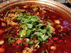 老坛酸菜美蛙鱼-沪小二炭火蛙锅(淮海中路美食不夜城店)
