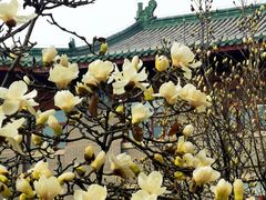 -中国中医科学院西苑医院(本部)