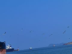 -海驴岛(荣成市)