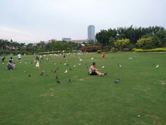 -白鹭洲公园