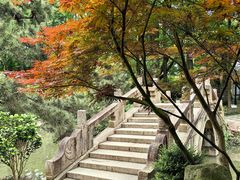 -上海醉白池公园