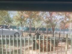 -秦皇岛野生动物园