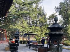 -黄帝陵