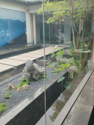 点击看大图 -爱儿美儿童摄影(朝阳公园店)
