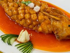 -清真马祥兴菜馆(云南北路店)