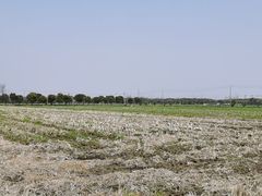 -嘉北郊野公园
