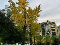 -苏州河梦清园环保主题公园