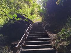 -梅州天地人花园酒店(梅县人民广场店)