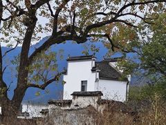 -塔川景区