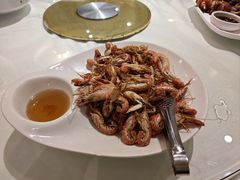 -福来齐·鲁菜海鲜·渔家菜(朝阳街分店)